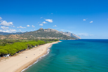 Fototapeta premium Aerial view of a tranquil sandy beach bordered by lush pine trees and clear blue sea, with dramatic mountains rising in the background near Lotzorai, Sardinia. Bright sunlight and a vivid sky enhance