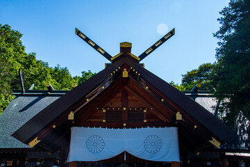 japanese garden in japan