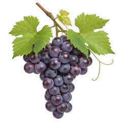 Fototapeta premium A cluster of purple grapes with green leaves isolated on transparent background