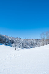 Obraz premium 雪景色 自然 青空