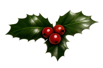 Holly leaves and red berries creating festive christmas and winter decoration, symbolizing seasonal joy and tradition