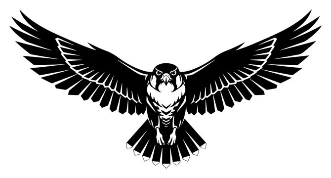 Front view of a flying eagle or falcon with wide spread wings in vector style