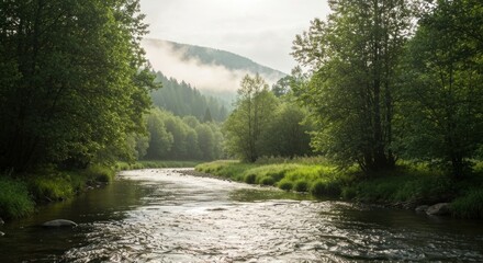Serene river flows through lush green forest towards misty mountains