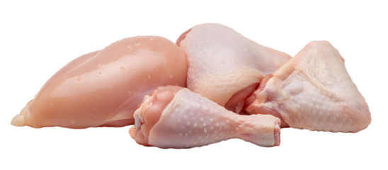 Fresh raw chicken parts including breast, drumstick, thigh, and wings isolated on transparent background