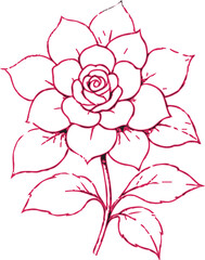 Fototapeta premium Vintage pink rose floral vector illustration featuring a blooming spring flower branch and green leaves on a white background for nature design