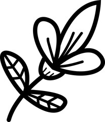 Flower drawing design graphic illustration
