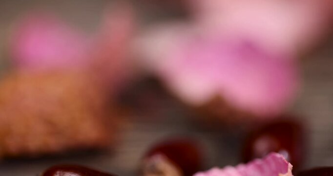 inedible red-pink peel of peeled lychees and seeds scattered on the table, the hard peel and seeds left after peeling the lychees are not used in cooking