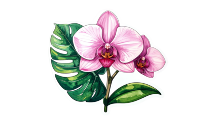 Watercolor illustration of a pink orchid with green leaves against a transparent background