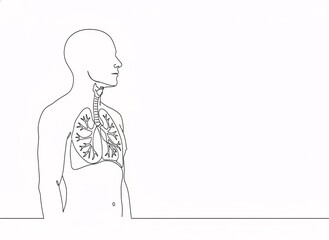 Human Respiratory System Line Art
