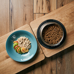 Overhead View of Breakfast Plate and Dog Bowl. Morning Wellness Routine with Pets. A simple healthy human breakfast plate next to a matching full dog food bowl on a clean wooden table.
