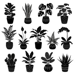 Variety of potted indoor plants in a black and white botanical illustration © Photo Sell