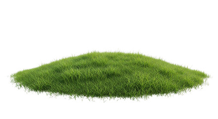 Obraz premium Lush green grass mound isolated on black background with white outline image, Isolated On Png Transparent Background