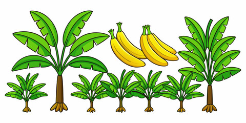 Tropical Banana Tree Vector Illustration Set, Exotic Banana Tree Collection in Flat Style
