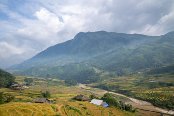 Expansive view of golden rice terraces and rustic houses bordering a winding river, with lush green mountains rising in the background under a partly cloudy sky near Sapa, Vietnam. The landscape feels