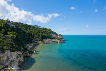 Obraz premium Steep limestone cliffs covered in dense green pine forest rise above clear turquoise waters along the Adriatic coast near Peschici, Italy. The scene is illuminated by bright sunlight beneath a vivid
