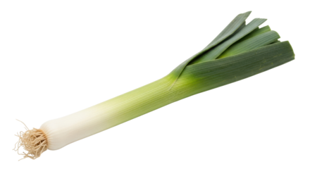Single fresh leek vegetable with white base and green leaves on black food, Isolated On Png Transparent Background