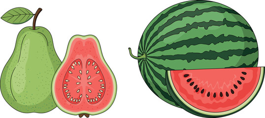 Summer fruit vector set featuring whole watermelon and guava with sliced sections showing red seeds and green outer skin.
