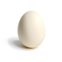 Simple white hen's egg standing upright on a bold, vibrant white background, minimalist.