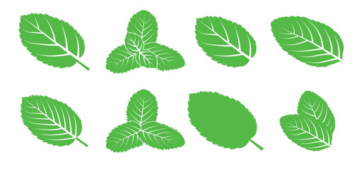 mint leaves isolated illustration abstract green leaves set © Noodles