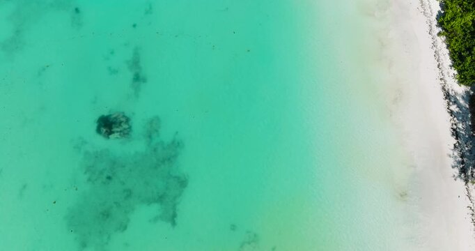 Clear turquoise waters with patches of coral near a white sand beach, bordered by green foliage. Seychelles, Praslin.