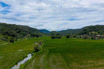 Expansive green rice fields stretch across a rural valley bordered by forested hills and scattered village houses under a bright, partly cloudy sky. The landscape features a winding irrigation channel
