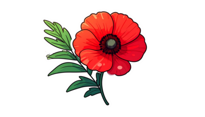 Bright red poppy bloom with green leaves and stem against black background, white outline