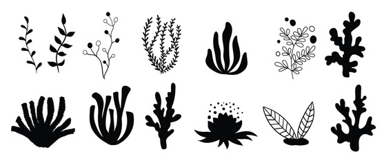 Set marine plants, corals and seaweed. Silhouettes of underwater reef plants. Vector in cartoon style. © howles
