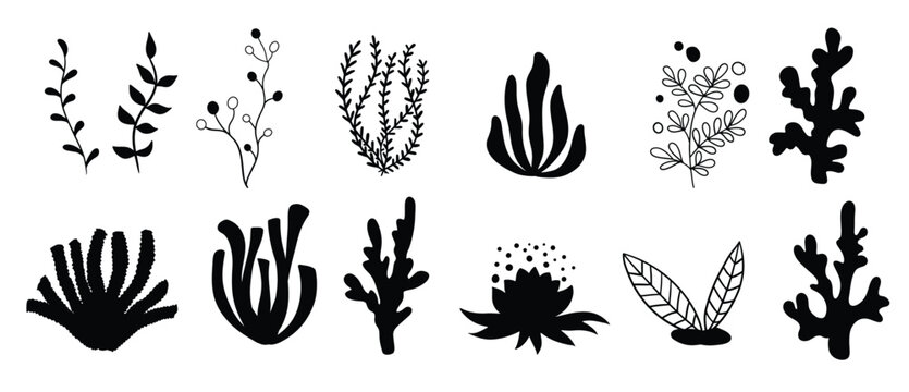 Set marine plants, corals and seaweed. Silhouettes of underwater reef plants. Vector in cartoon style.