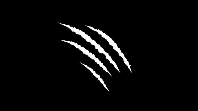Animal claw scratching effect on a black screen. Animation of claws tearing a surface in 4K resolution with alpha channel.