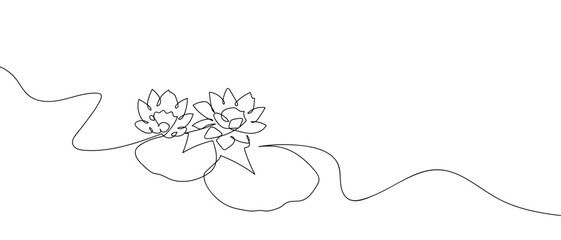 A continuous line of lotus flowers and leaves in a pond. line art Vector drawing style on a transparent background Editable stroke.