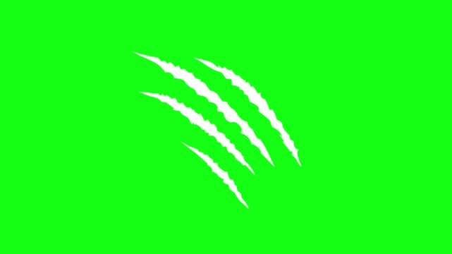 animated animal claws scratch effect of cat, dog, tiger, green screen 4k video