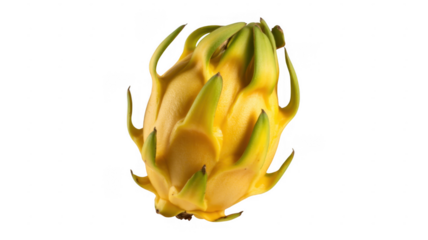 Close-up of yellow dragon fruit pitaya exotic fruit isolated on a transparent background