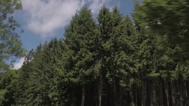 Cinematic Documentary Style Shot of the Ardennes in Belgium Europe