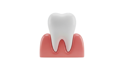 Stylized Tooth and Gums Icon