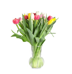 Vase with beautiful tulip flowers on white background