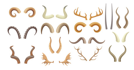 animal horns and antlers antelope ram moose reindeer © Fazila