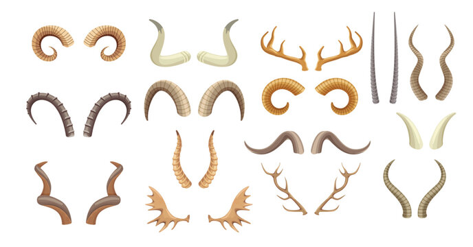 animal horns and antlers antelope ram moose reindeer