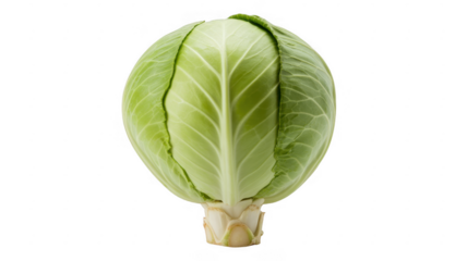 Fresh green cabbage head vegetable healthy isolated on a transparent background