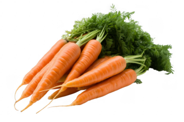 Fresh orange carrots with green leaves vegetable isolated on a transparent background