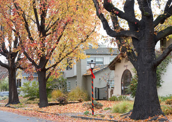 Autumn leaves falling after rain, trees wet in a residential neighborhood. Streets covered in orange brown and yellow autumn leaves, sidewalk obscured with leaves