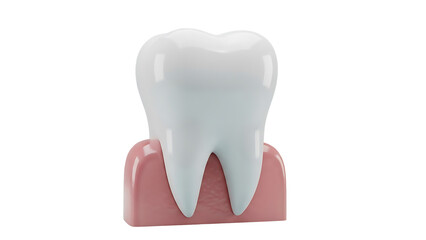 Maintaining Optimal Dental Health with Proper Care and Protection Tools