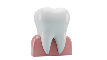 Maintaining Optimal Dental Health with Proper Care and Protection Tools