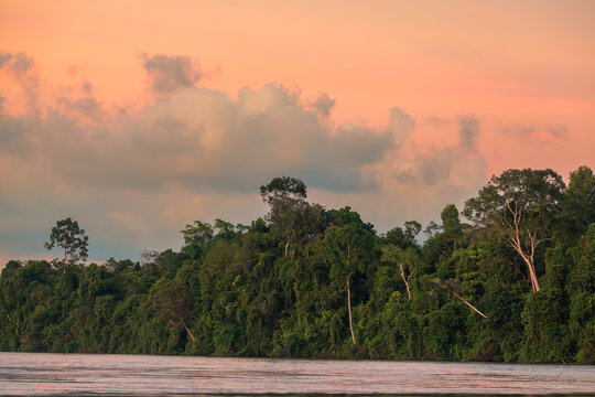 Sunset on the Kinabatangan River, Sabah, Malaysia, Borneo