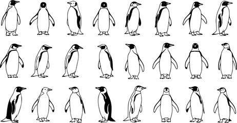Black and White Line Art Illustration of Various Penguins in Different Poses - A Collection of Hand-Drawn Wildlife Outlines for Nature and Animal-Themed Designs