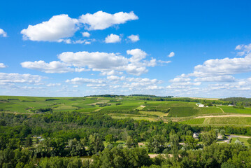 Obraz premium Sweeping view of green vineyards and forested patches beneath a vibrant blue sky scattered with puffy white clouds in Pouilly sur Loire. The landscape is sunlit, lush, and expansive, evoking a
