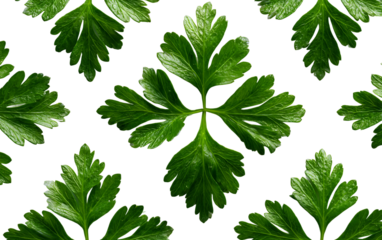 Natural parsley leaves organized in decorative pattern for salads, garnishes, and plant based meal preparation isolated on transparent background PNG