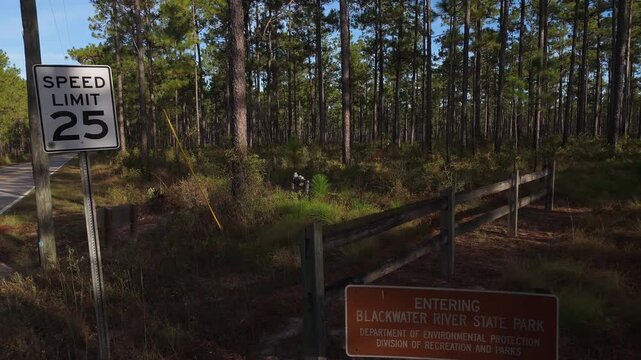 Drone pullback from forest clearing to 25 speed limit mph and Blackwater River State Park entrance sign, mixed trees and undergrowth in warm afternoon light