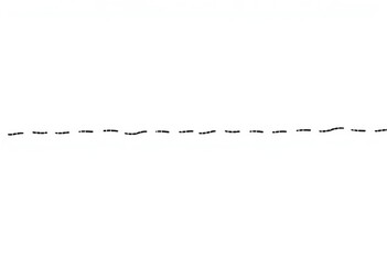 A continuous, uneven dashed squiggly line drawn in black ink on white background, style, wave