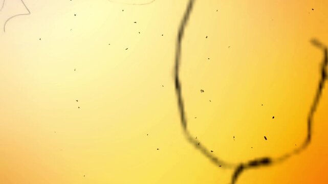 Film burn and light leak effects combined with cinema transitions create stunning, smooth video edits with cinematic visual appeal.