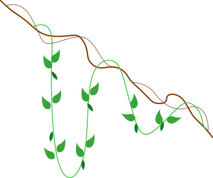 Vine Jungle Hanging Plant Element